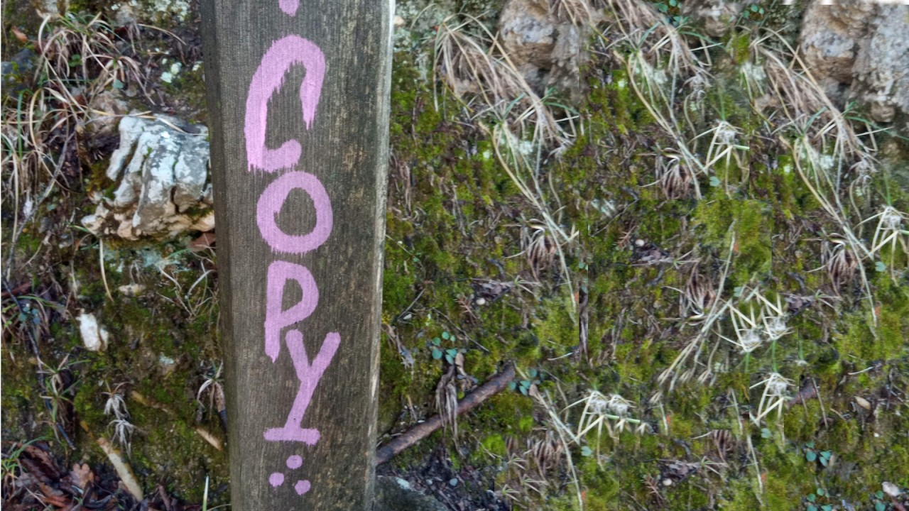 copy, copywriting – ilustrační obrázek